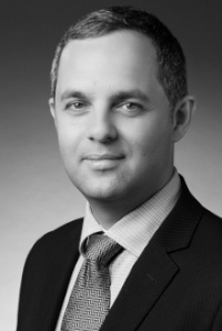 Prof. Dr. Dr. Dimitrij  Davydov