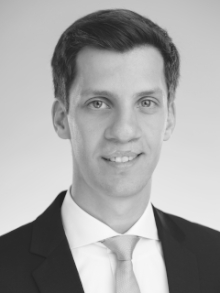 Prof. Dr. Gerrit  Lietz